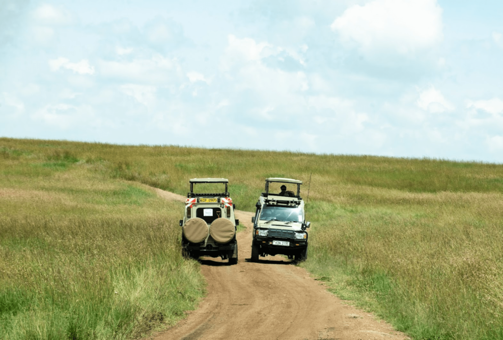 10 Essential Tips for Planning Your Perfect African Safari in 2025-min