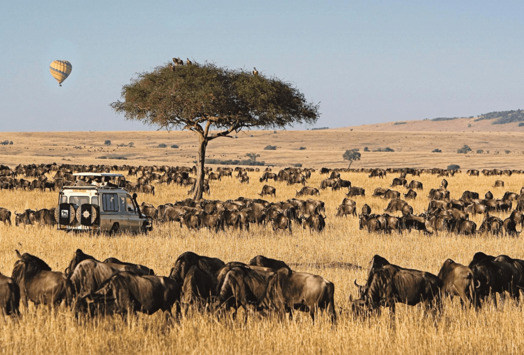 Maasai Mara Safari Guide 2025_ Everything You Need to Know for an Unforgettable Adventure-min